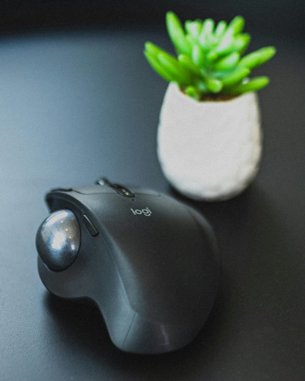 Trackball ou souris : lequel privilégier pour votre usage ?